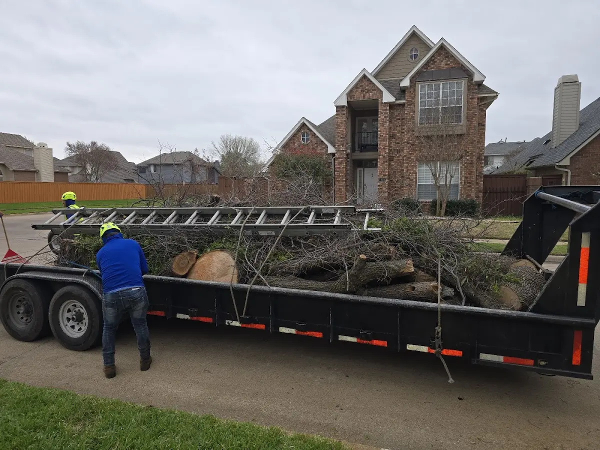 Expert Tree Fertilization with proper safety equipment in Issue